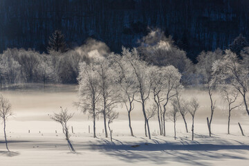 冬の白樺湖から朝日に光る霧氷の木々