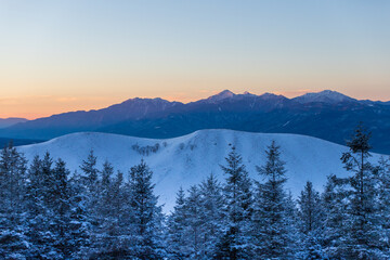 冬の霧ヶ峰高原から樹氷と夜明けの南アルプス