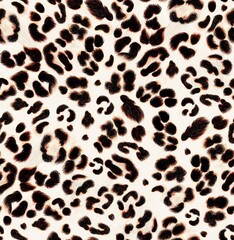 Pattern Animal Print Handraw Pencil Colors