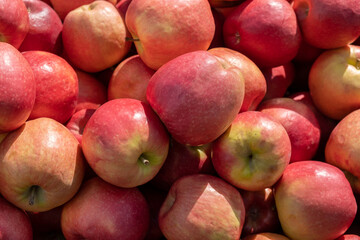 Pink Lady apples for sale at city market