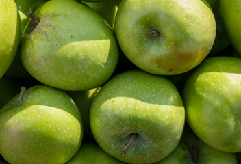 Green fresh apples for sale at the city farmers market