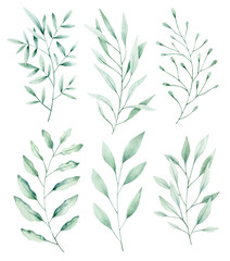 Watercolor illustration set with green leaves branches. Isolated on white background. Hand drawn clipart. Perfect for card, textile, tags, invitation, printing, wrapping.