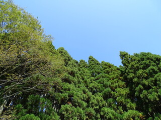 里山