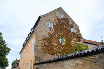 Old house in autumn, Copenhagen, Denmark. Brick facade covered with colorful climbing plant.