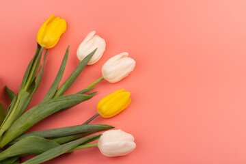 Bouquet of white and yellow tulips with space for greeting message. Mother's Day and spring background concept.