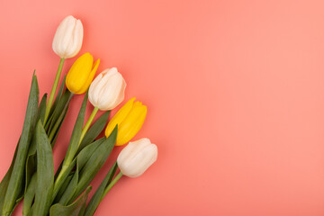 Bouquet of white and yellow tulips with space for greeting message. Mother's Day and spring background concept.