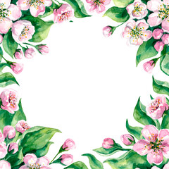 Spring feminine frame of apple tree flowers and leaves. Painted by hand in watercolor, isolated on a white background.