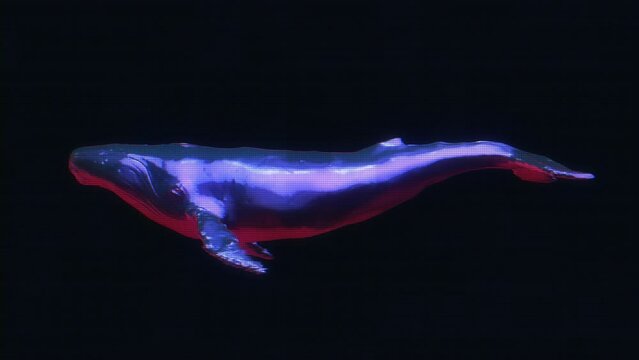 Abstract chrome metal swimming hologram whale on black background. Modern bright fashion 3d animation. Technological digital vivid concept animal. Creative retro futuristic motion art.