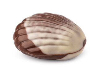 Chocolate sweets shaped as seashells isolated on white background