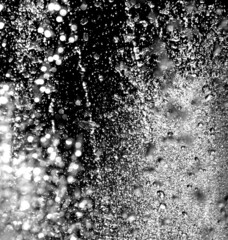 black and white background