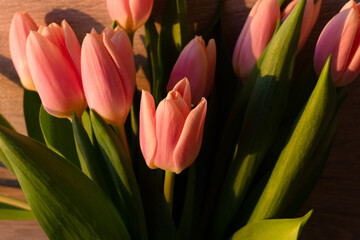 pink tulips on a wooden background. close-up. Sun rays.