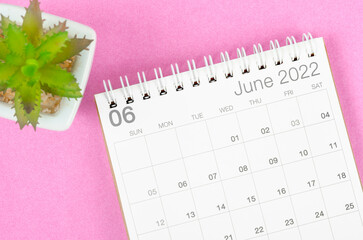 June 2022 desk calendar with plant pot on pink background.
