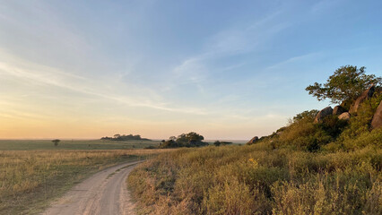 Amazing sunrise in the Serengeti National Park. Amazing landscapes of Africa. Beautiful nature.