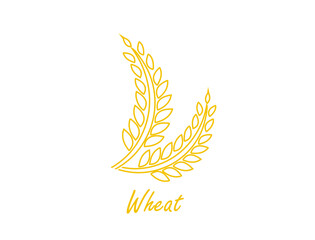 wheat line art vector illustration