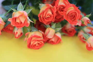 Obraz premium Shrub roses on a yellow table 