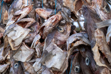  Fish hangs on drying frames in the fresh air on fish racks for the production of the dried codfish near Hafnarfjörður / Hafnarfjördur