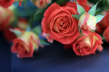 Bouquet of pink spray roses