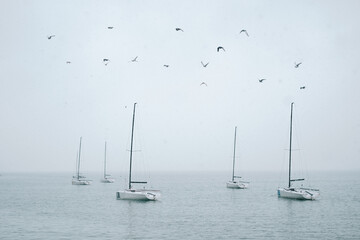A flock of birds flies over the yachts in the sea. Cold weather in winter season and snowfall.