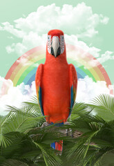 Loro en su h&aacute;bitat natural