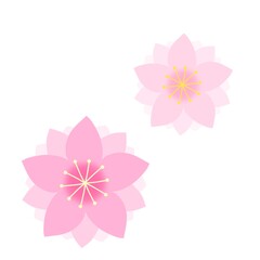 cute illustration of peach blossoms