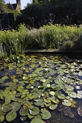 hidcote manor gardens cotswolds gloucestershire england uk