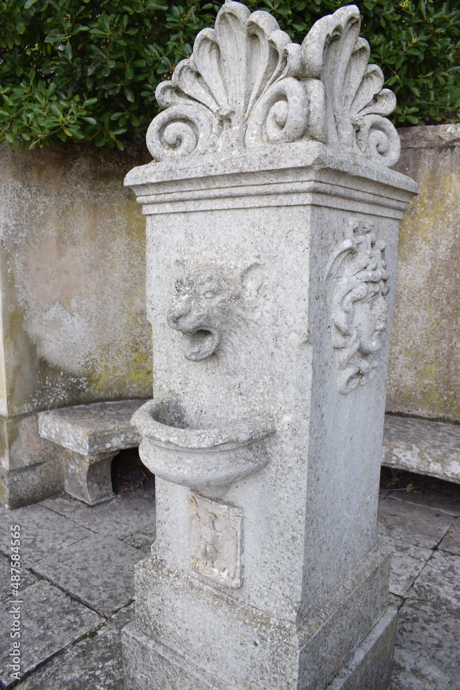 Wall mural stone feline head, carved on a fountain in erice (sicily)