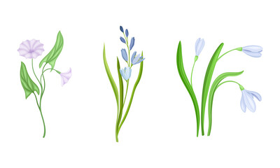 Naklejka na ściany i meble Violet Flower or Blossom on Leafy Stalk or Stem Vector Illustration Set