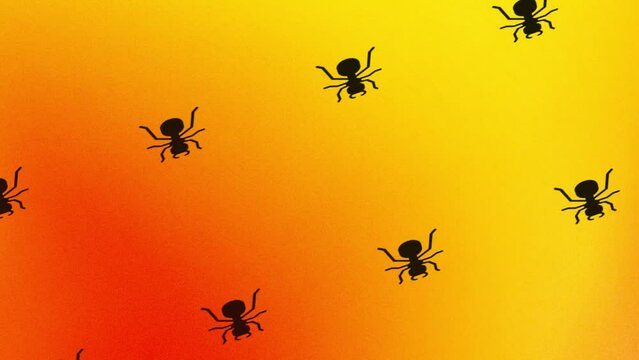 animation of spinning ant icon on orange and yellow