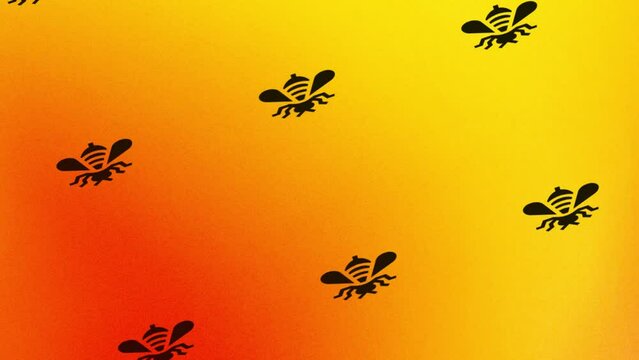 animation of spinning bee icon on orange and yellow