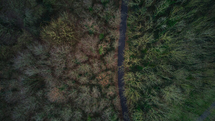 An areal view of a beautiful park or small forest in Limerick, Ireland