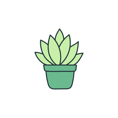 Indoor plants in the pot, simple botany illustration of cute houseplant 