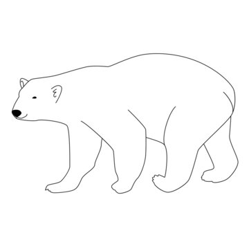 シロクマ　北極熊　線画　モノクロ　シンプル　イラスト