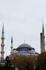 Fototapeta premium Scenic autumn landscape view of The Blue Mosque, (Sultanahmet Camii). Cloudy sky in the background. .Famous travel destination in Istanbul. Travel and tourism concept
