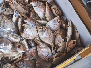 港近くで水揚げされ、加工された新鮮な干物