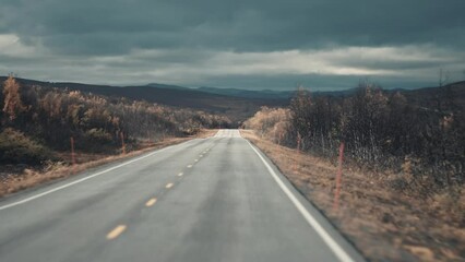 A narrow asphalt road leading through the pale autumn landscape. Pan forward, long shot, parallax