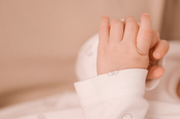 Small hands of a newborn girl on a light background