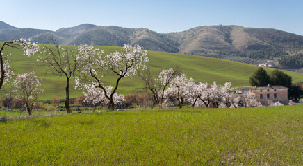 Almendros