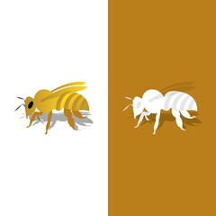 Bee logo vector icon illustration
