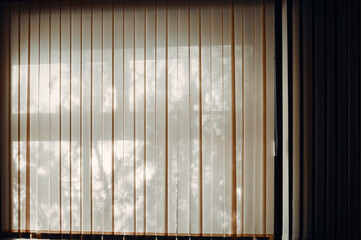 The window in the office is tightly closed with vertical blinds, daylight penetrates through the blinds, the outlines of trees growing outside the window are visible, natural abstraction