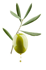Olive branch with green olive dripping oil, isolated on white background