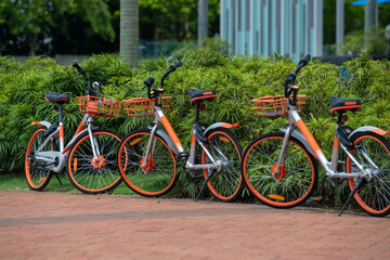 Fototapeta na wymiar Several bicycles for free use stand on the street in Singapore, bicycles with tubeless wheels with baskets in front green vegetation in the background, care for the environment