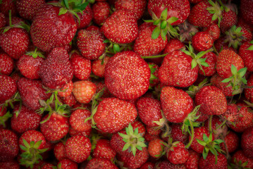 Strawberries background. Strawberry. Food background.