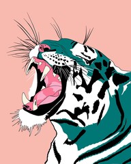 illustration of a tiger