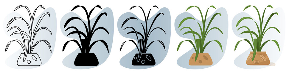 A homemade potted plant. A bush with thin long curved leaves. Vector icon, contour, silhouette, glyph, flat simple and complicated, abstract background with gradient, isolated