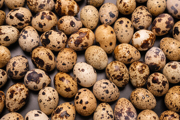 Obraz premium Group of quail eggs as a background. Raw eggs.