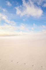 Beautiful empty winter landscape. White plains, fields and meadows on a frosty sunny day. Calm polar background for design and tourist advertising