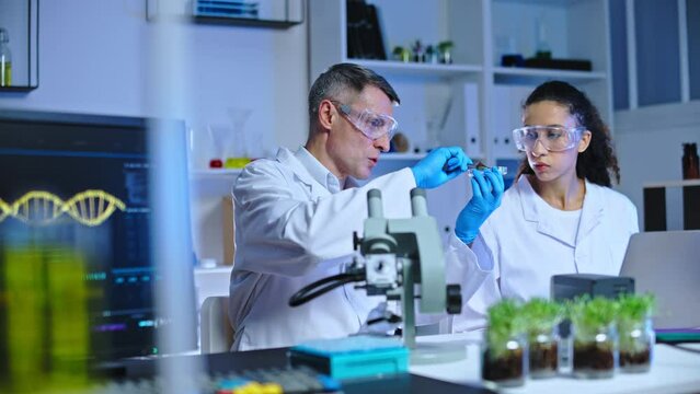 Scientists examining lab-grown plant, studying mutation technology, breeding