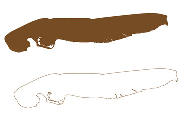 Norderney island (Federal Republic of Germany, East Frisian Islands) map vector illustration, scribble sketch Norderney map