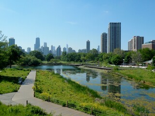 Chicago, Illinois from the park.