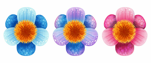 three flowers